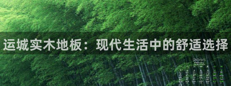 vsport体育在线官网
