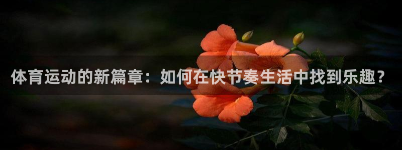 vsport体育在线官网