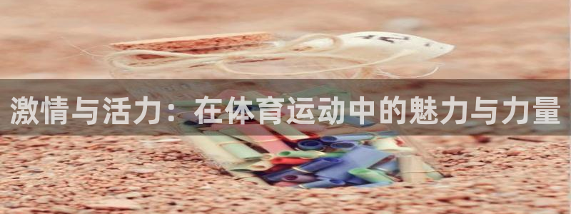 vsport体育