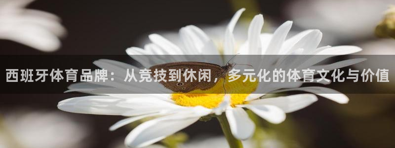 vsport体育在线官网