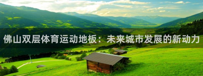 vsport体育在线官网：佛山双层体育运动地板：未来城市发展的新动力