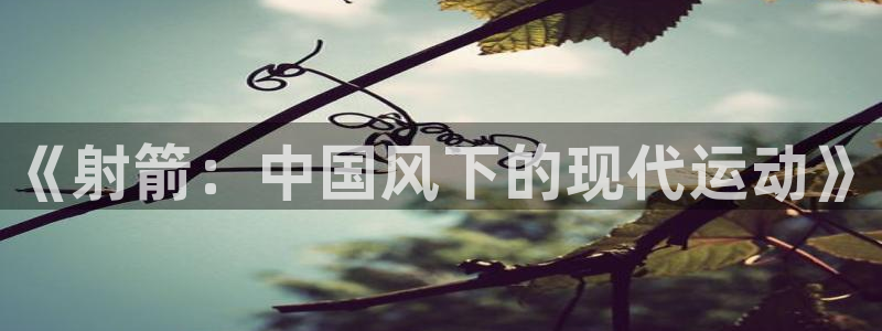 vsport体育：《射箭：中国风下的现代运动》