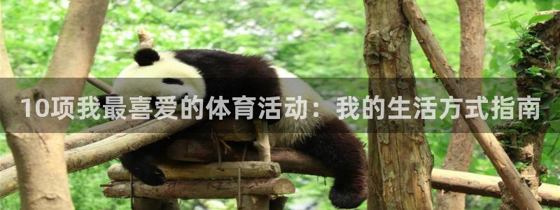 vsport体育在线官网：10项我最喜爱的体育活动：我的生活方式指南