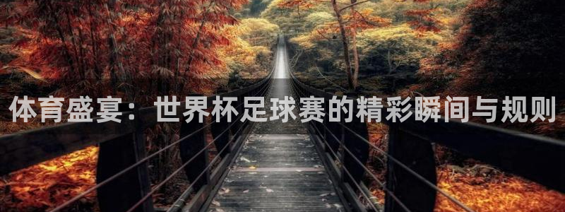 vsport体育在线官网：体育盛宴：世界杯足球赛的精彩瞬间与规则